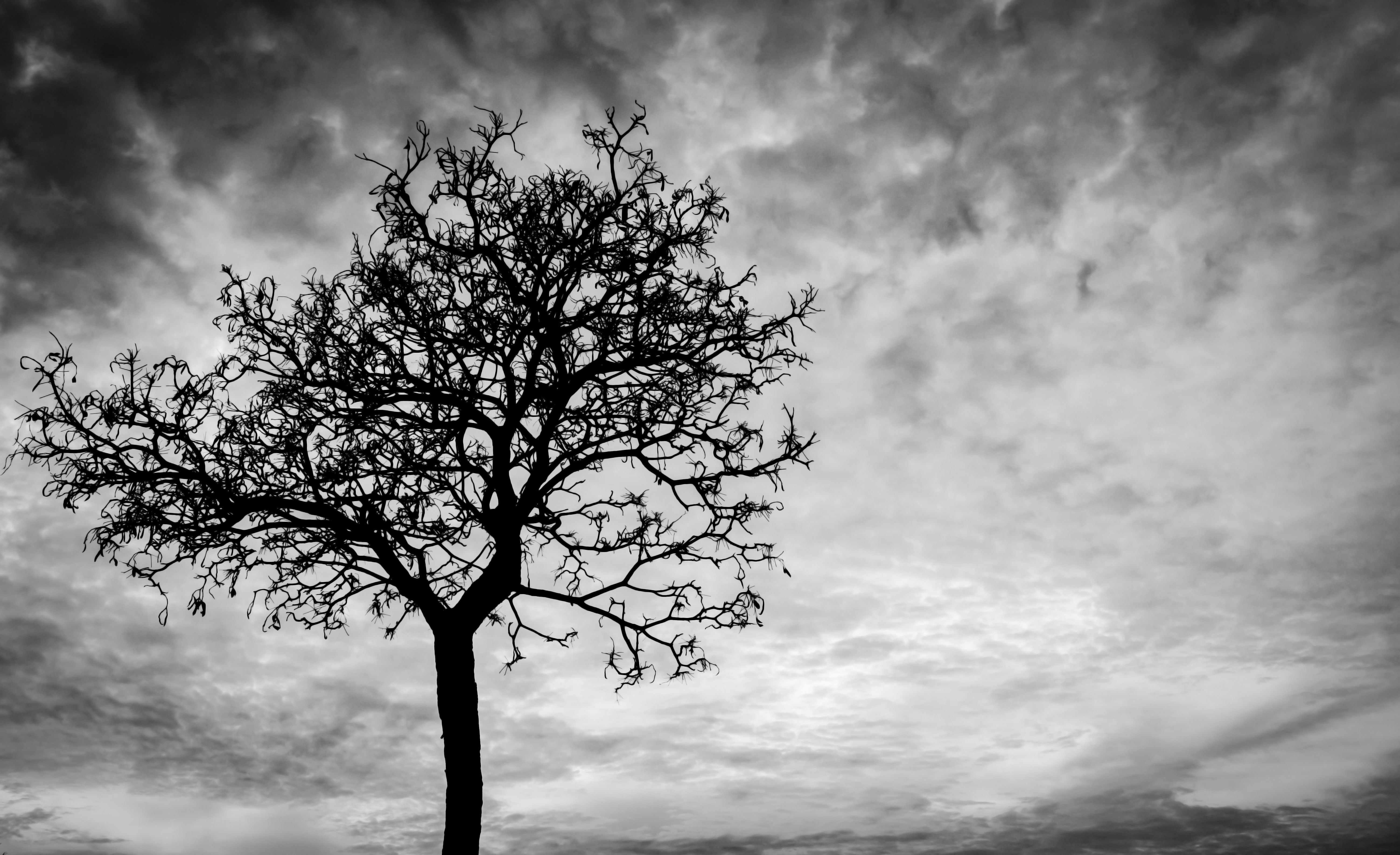 o que cada religião diz sobre a morte