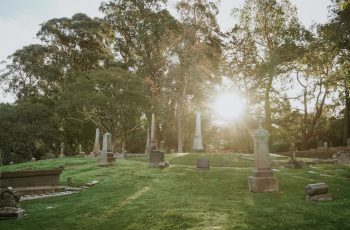 Imagem de um cemitério na luz do sol