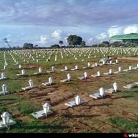 Foto de Cemitério Parque Memorial Novo Gama