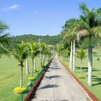 Foto de Cemitério Parque Jardim da Saudade