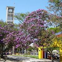 Foto de Sapiranga
