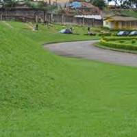 Foto de Cemitério Parque da Paz II