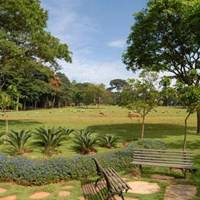 Foto de Cemitério Primaveras