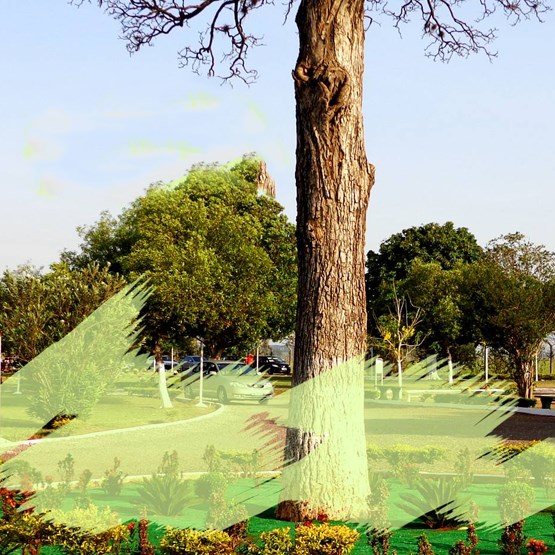 Foto de Cemitério Parque Jardim da Luz