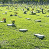 Foto de Cemitério Parque Jardim da Paz