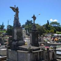 Foto de Cemitério Municipal Itacorubi São Francisco de Assis