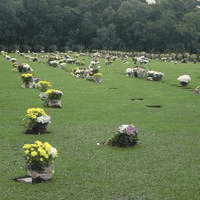 Foto de Cemitério Parque Memorial Graciosa