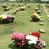 Foto de Cemitério Colina dos Ipês