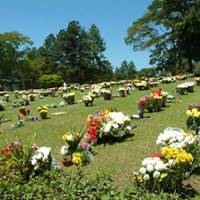 Foto de Cemitério Parque das Oliveiras