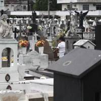 Foto de Cemitério do Maruí