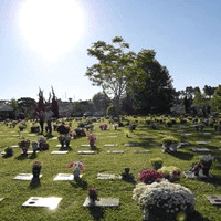 Foto de Cemitério Memorial da Vida