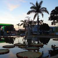 Foto de Coromandel