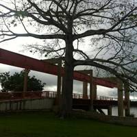 Foto de Caracaraí