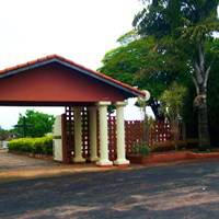 Foto de Cemitério Municipal São Miguel Arcanjo