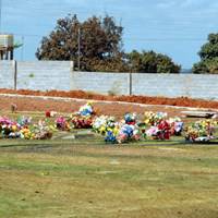 Foto de Cemitério e Crematório Jardim Metropolitano