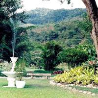 Foto de Cemitério Municipal Jardim da Saudade