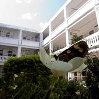 Foto de Cemitério da Santa Casa