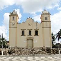 Foto de Palmeira