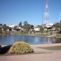 Foto de Pinhão
