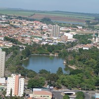 Foto de Araras