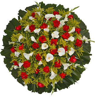 fotos d flores - Berel