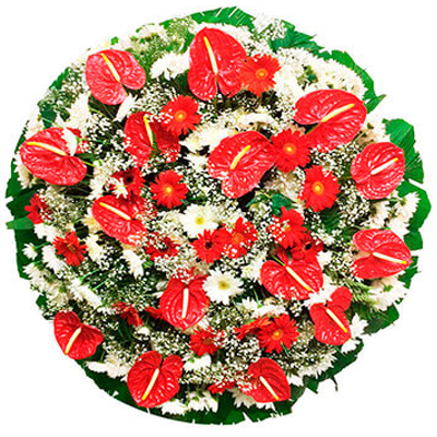 Coroa de flores com Antúrios, Gérberas e Crisântemos nas cores brancas e vermelhas e com uma faixa de homenagem grátis ao centro em diversos tamanhos.