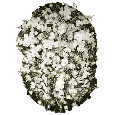 Coroa de flores com flores nobres e uma faixa de homenagem grátis ao centro em diversos tamanhos.